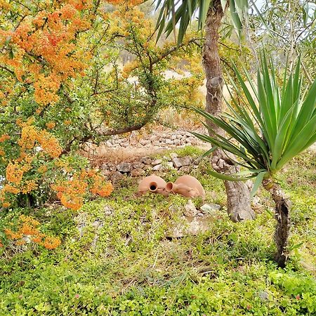 Cueva El Parral Guest House Pegalajar ภายนอก รูปภาพ