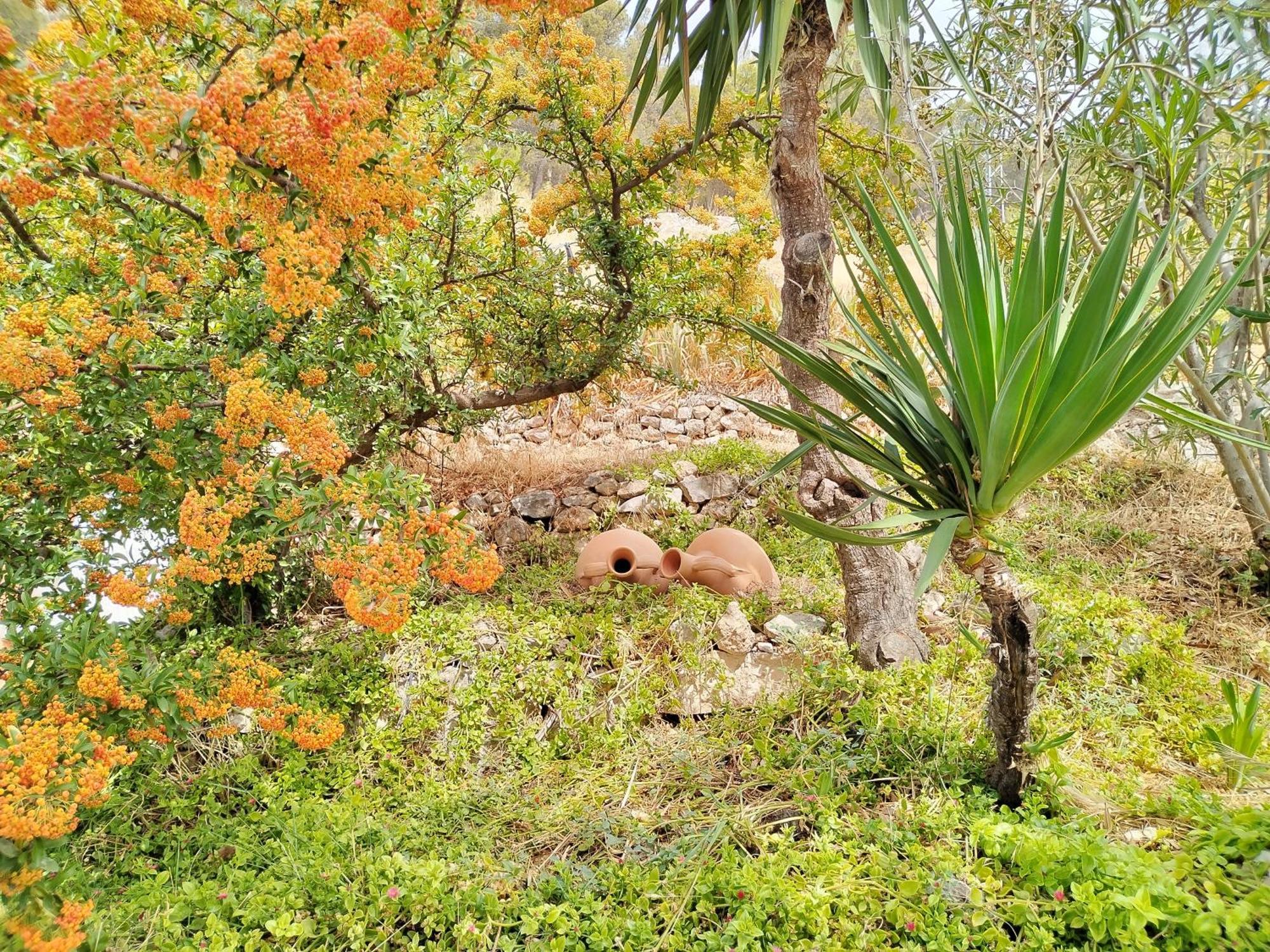 Cueva El Parral Guest House Pegalajar ภายนอก รูปภาพ